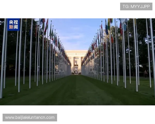 如何选择优质的真人视讯娱乐平台，保障你的资金安全与游戏体验的双重保障