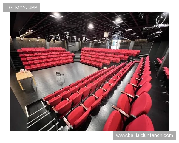 腾龙真人现场演出背后故事揭秘带你了解每一场精彩表演的创意灵感