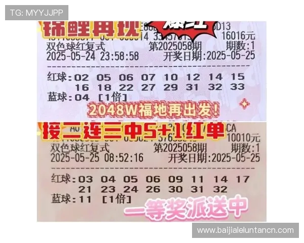 百家乐不倒翁注码法的优势与风险评估，专家解析帮助玩家制定合理投注策略